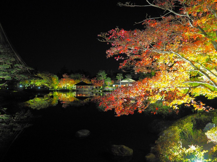 昭和記念公園　日本庭園