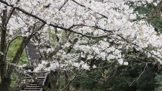 町田忠生公園