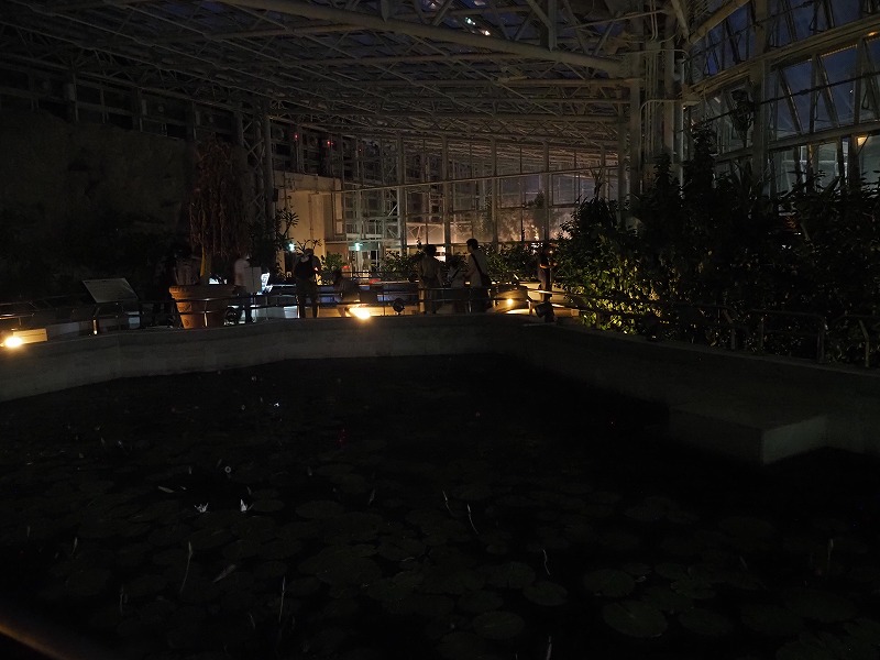 神代植物公園　大温室夜間公開
