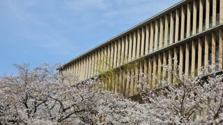 第52回相模原市民桜まつり